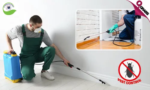 Interior OR Exterior Pest Control Services!